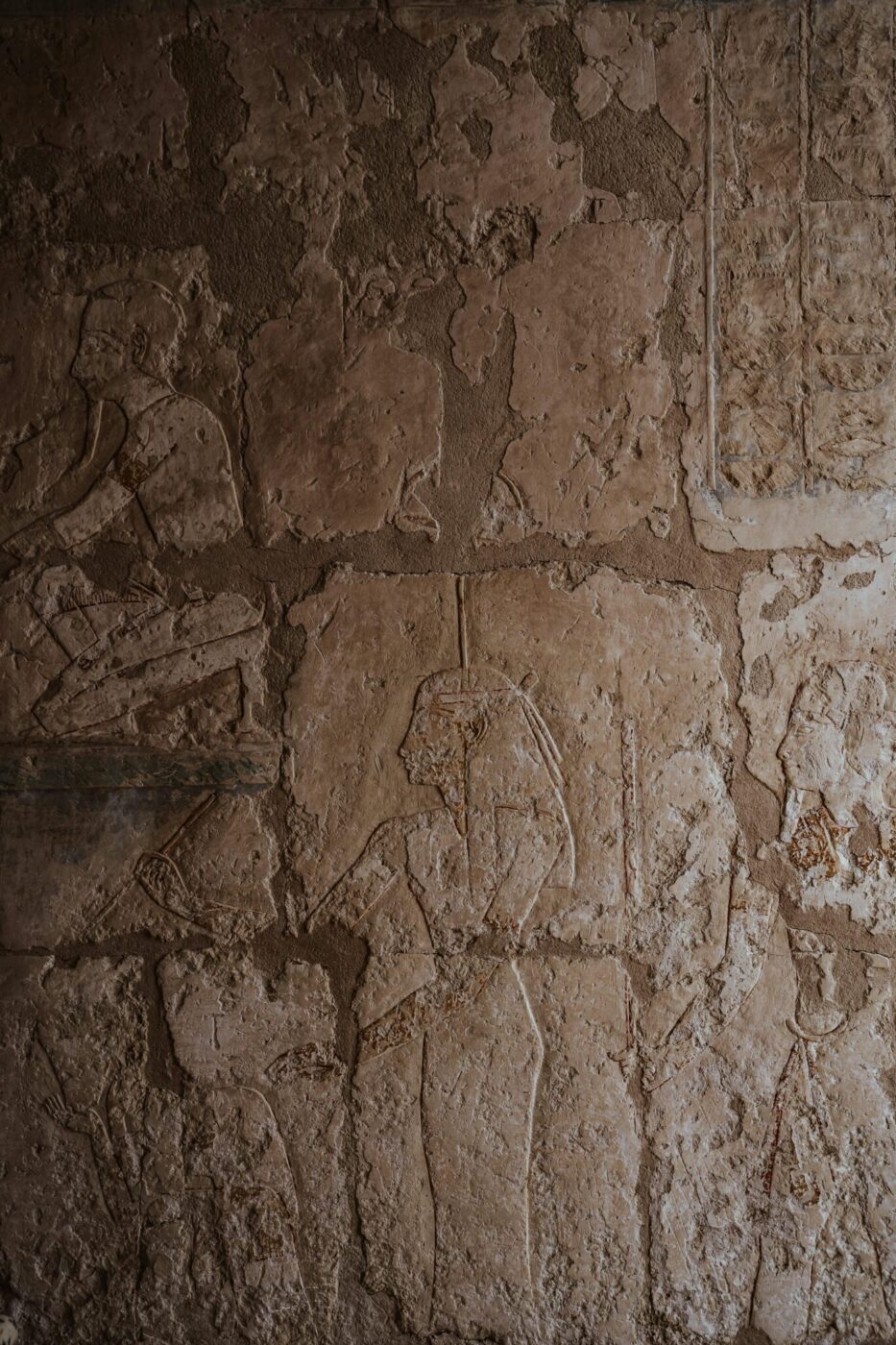 pexels robshumski 6102265