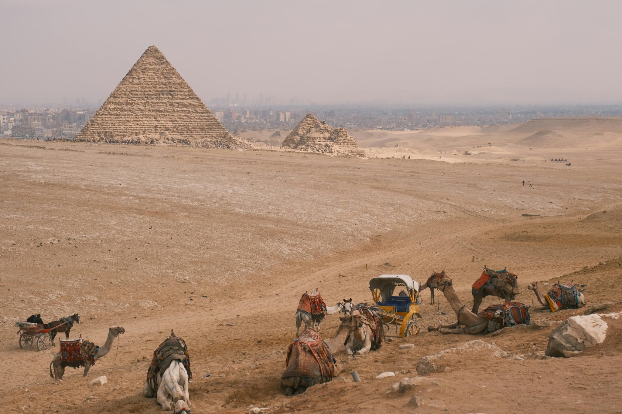 pexels tizzy 35556507